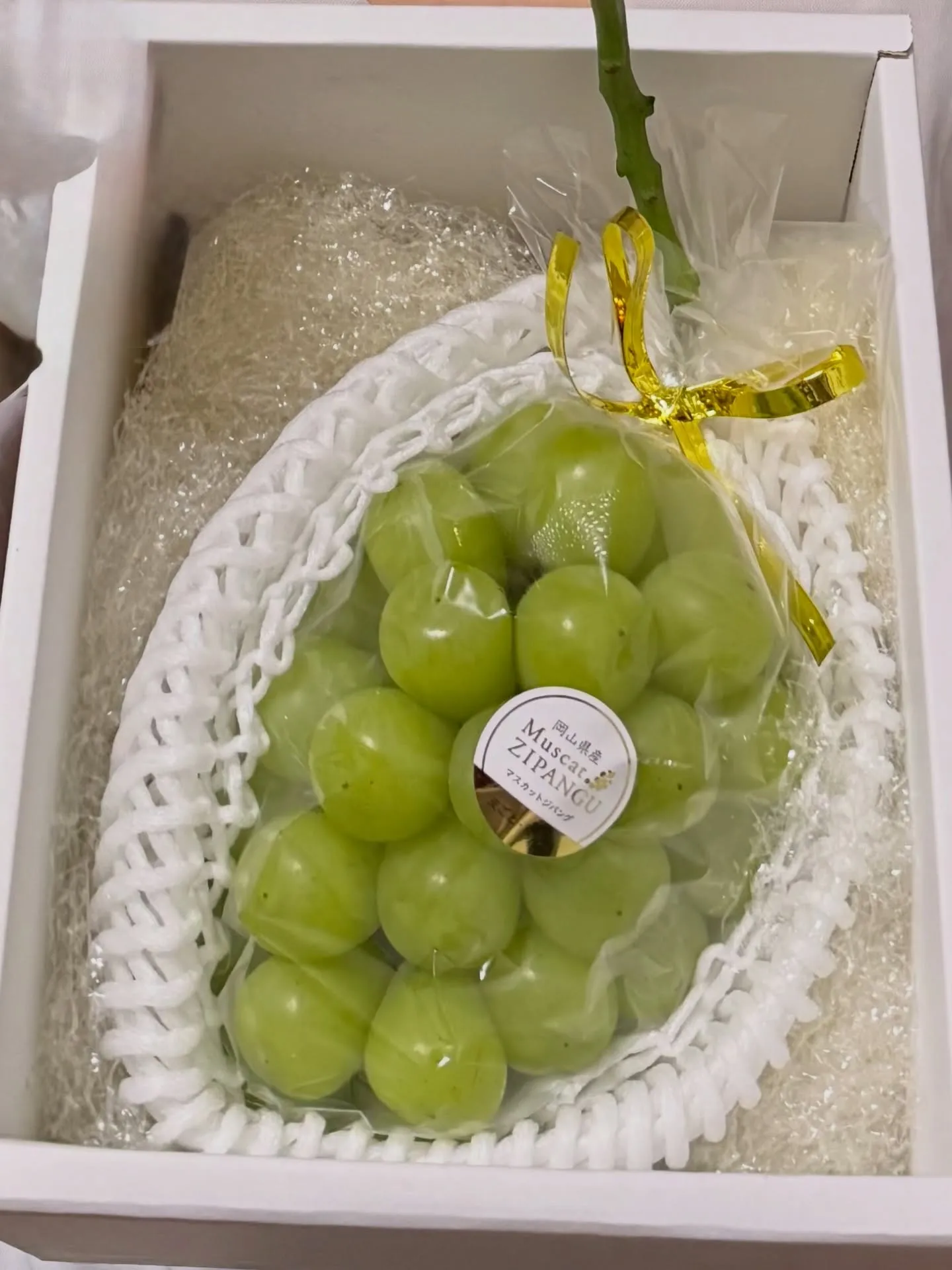 🎁父からのいただきもの