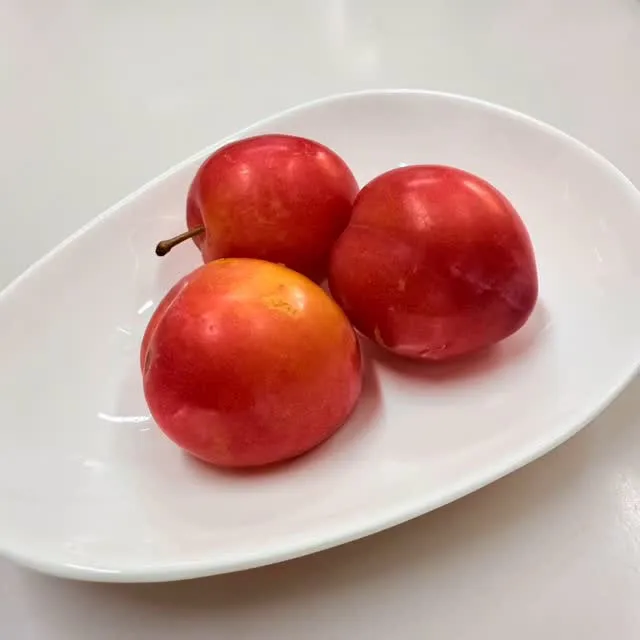 今日は会長からもぎたてフルーツをいただきました😋